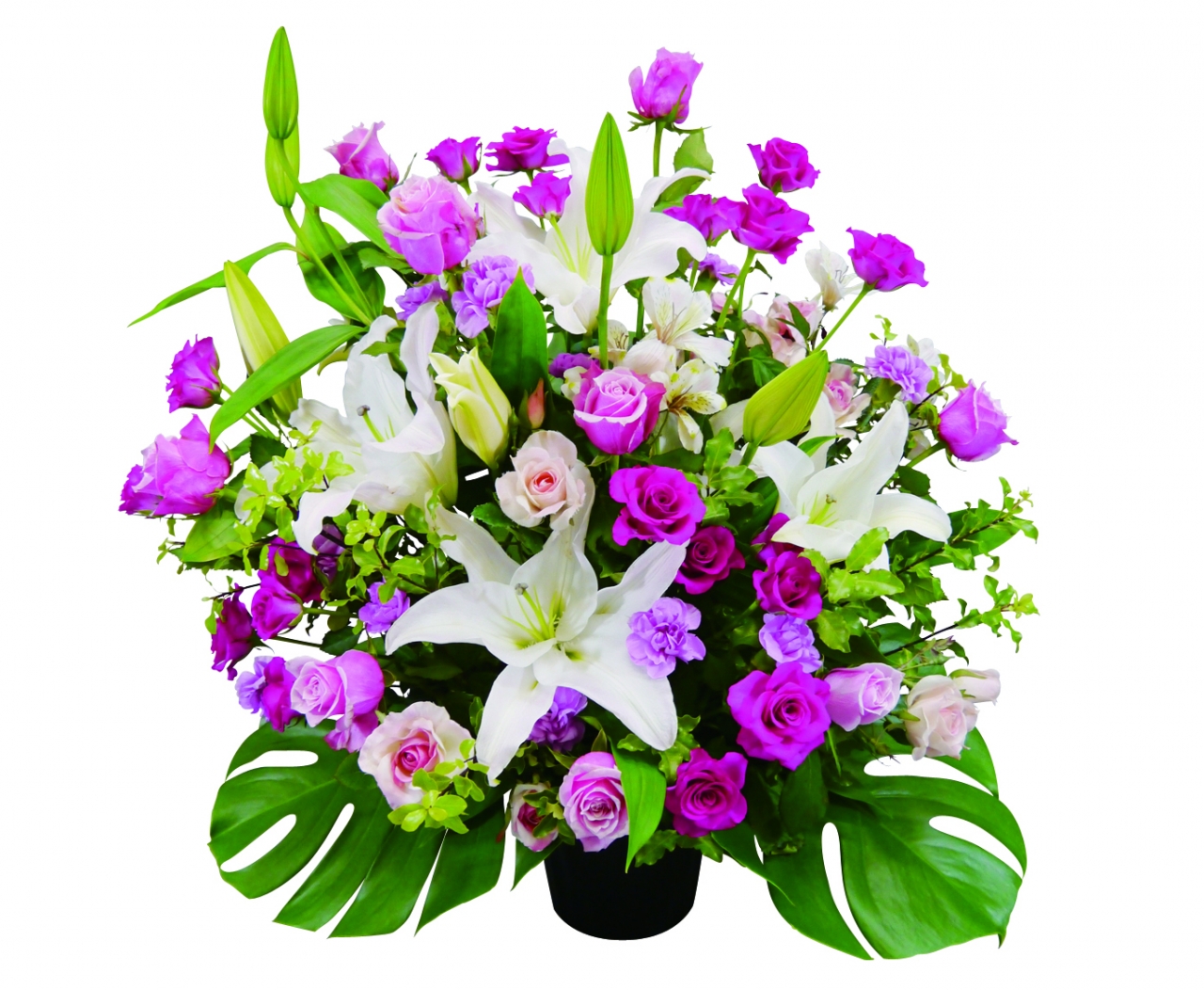 アレンジ アレンジ