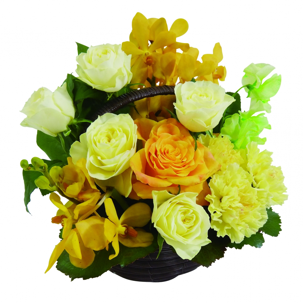 アレンジ各種 アレンジ各種